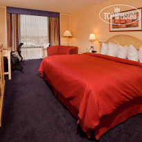 Best Western Plus Orlando Gateway Номер