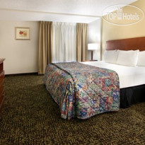 Comfort Inn & Suites Winter Park Village Area 