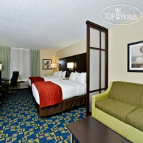 Comfort Inn & Suites Universal - Convention Center 