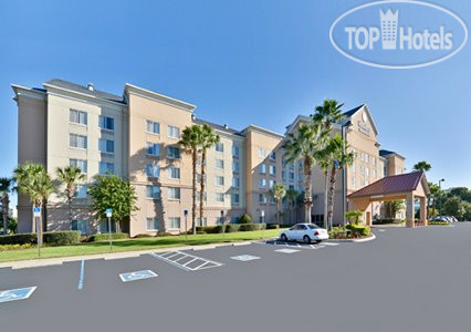 Фотографии отельера Comfort Inn & Suites Universal - Convention Center 3*
