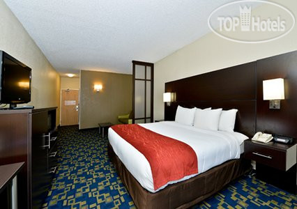 Новые добавленные фото туристов Comfort Inn & Suites Universal - Convention Center 3*