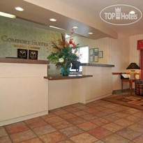 Comfort Suites Universal Studios 