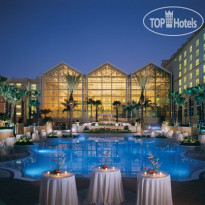 Gaylord Palms Resort & Convention Center 