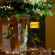 Hilton Orlando 