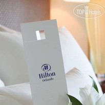 Hilton Orlando