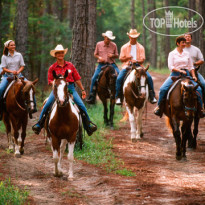 The Cabins at Disney s Fort Wilderness Resort 