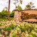 The Cabins at Disney s Fort Wilderness Resort 