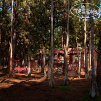 The Cabins at Disney s Fort Wilderness Resort 