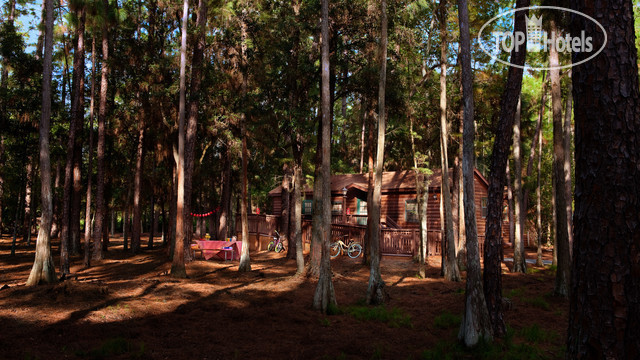 Фотографии отеля  The Cabins at Disney s Fort Wilderness Resort 3*