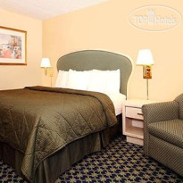 Quality Inn Universal Studios I Drive Area