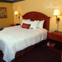 Hampton Inn Orlando Florida Mall