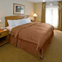 Homewood Suites by Hilton Miami-Airport Blue Lagoon 