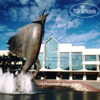 Fairfield Inn & Suites Fort Lauderdale Airport & Cruise Port 