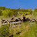 Bachelor Gulch Village 