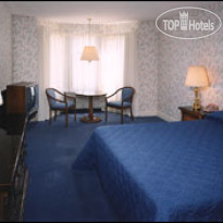 Cow Hollow Motor Inn 
