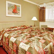 Rodeway Inn Downtown 