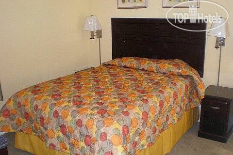 Новые добавленные фото туристов Alexander Inn 1*