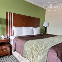 Comfort Inn Austintown 