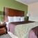 Comfort Inn Austintown 