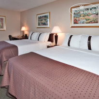 Holiday Inn Rochester Airport 