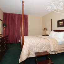 Comfort Inn Binghamton 