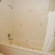 Best Western Monticello 
