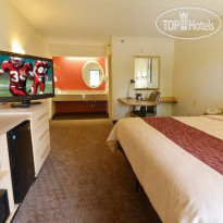 Red Roof Inn Buffalo - Hamburg 