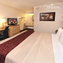 Red Roof Inn Binghamton 