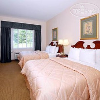 Comfort Inn & Suites East Greenbush