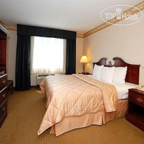 Comfort Inn & Suites East Greenbush