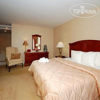 Comfort Inn & Suites East Greenbush