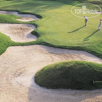 Doral Arrowwood