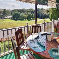 Doral Arrowwood