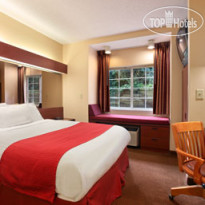 Microtel Inn & Suites by Wyndham Raleigh 