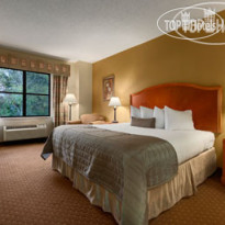 Baymont Inn & Suites Asheville / Biltmore Стандартный номер