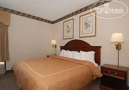 Новые добавленные фото туристов Comfort Suites University Area 2*