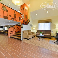 Sleep Inn & Suites Concord