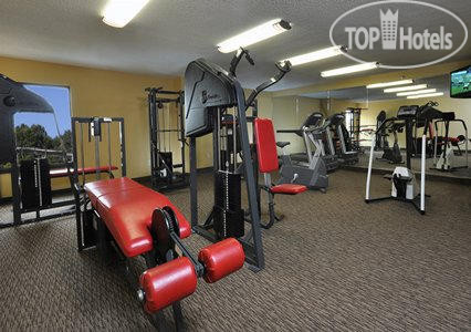 Новые добавленные фото туристов Comfort Inn University Durham 2*