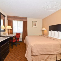 Quality Inn & Suites Coliseum