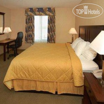 Comfort Inn & Suites Near Lake Lanier 
