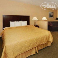 Comfort Inn & Suites Near Lake Lanier 