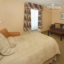 Comfort Inn & Suites Near Lake Lanier 