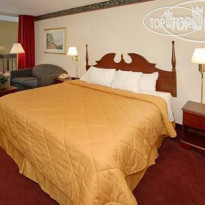 Comfort Inn Suwanee 