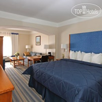Comfort Inn & Suites Savannah Airport 