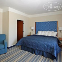 Comfort Inn & Suites Savannah Airport 