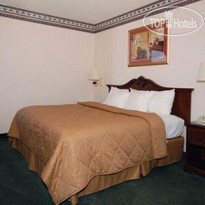 Comfort Inn Vidalia 