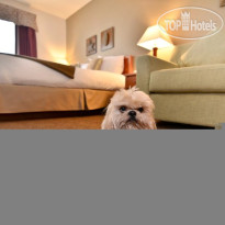 Best Western Plus Peppertree Auburn Inn