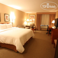 Best Western Plus CottonTree Inn 