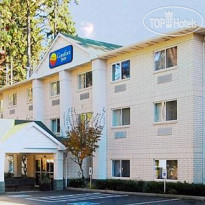 Comfort Inn Lacey 