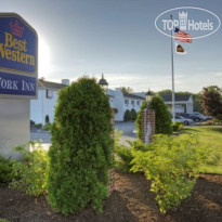 Best Western York Inn 